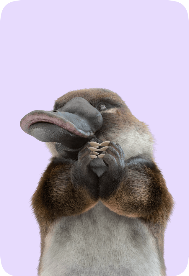 Тарифы для бизнеса