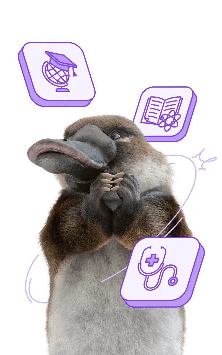 Расчётный счёт для НКО