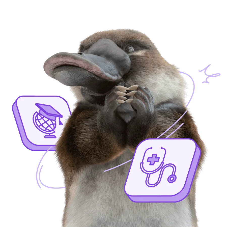 Расчётный счёт для НКО