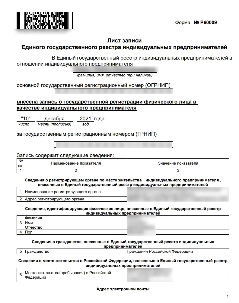 Пример листа записи Единого государственного реестра индивидуальных предпринимателей