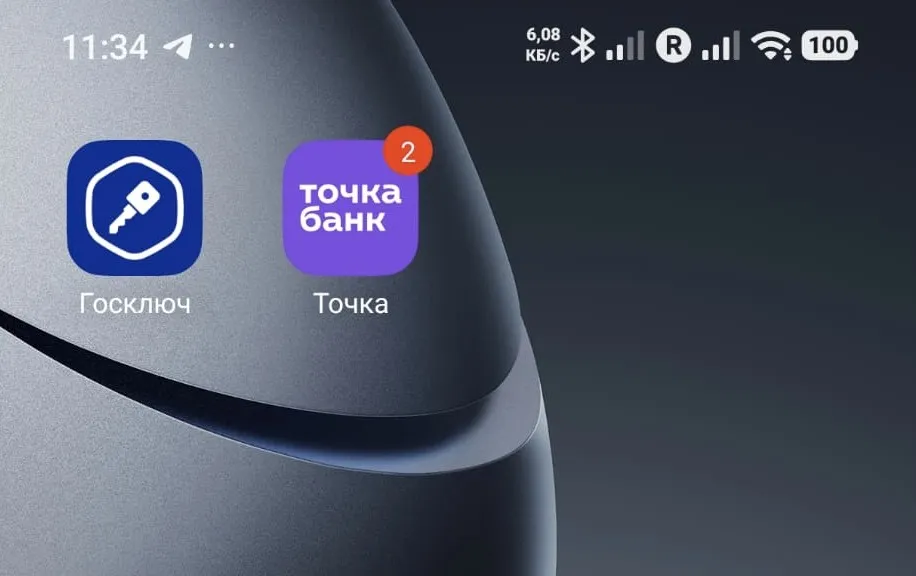 Пример установленного приложения «Госключ» на телефоне