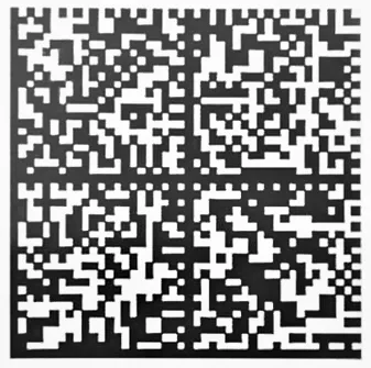 Data Matrix код товара для маркировки и идентификации на маркетплейсе