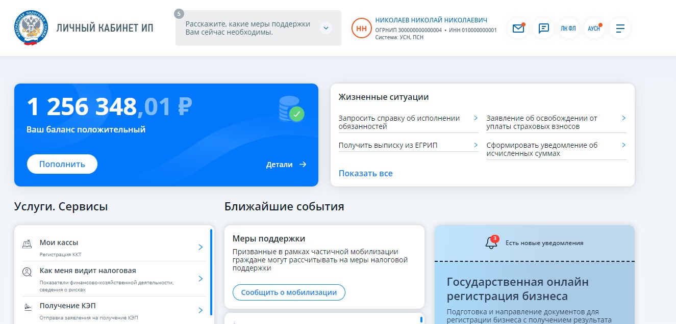 Главная страница личного кабинета ИП